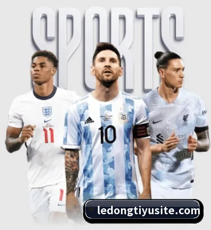 了解平台 - 体育资讯内容服务(LDSPORTS)
